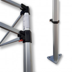 Struttura dei tendoni senza...